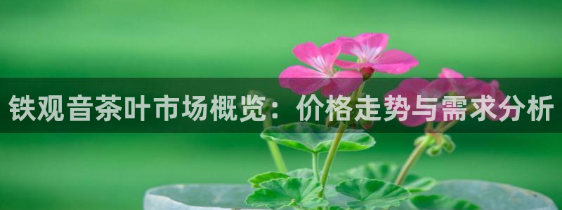 鸿运国际平台代理