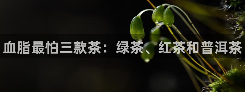 大发云鸿运平台