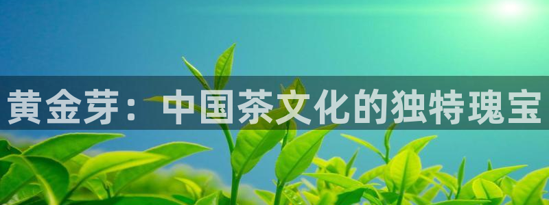 鸿运平台被骗事件