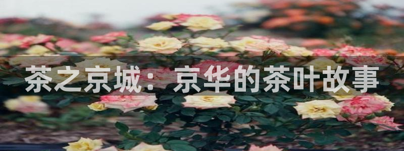 苏州鸿运阁直播平台