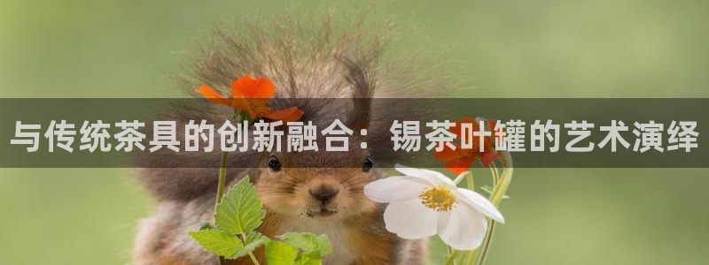 鸿运平台刷流水