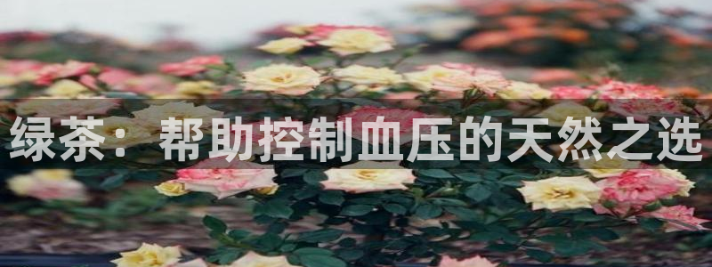 鸿运手机棋牌平台