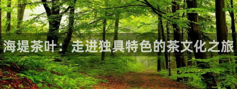 鸿运公司有哪些平台