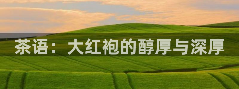 鸿运满堂网上平台