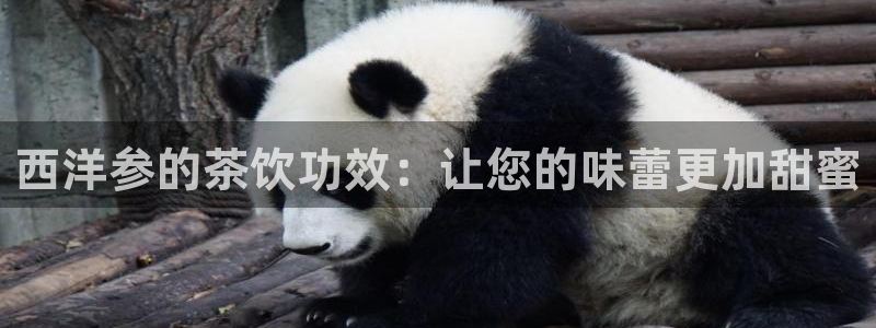 鸿运官网平台登录