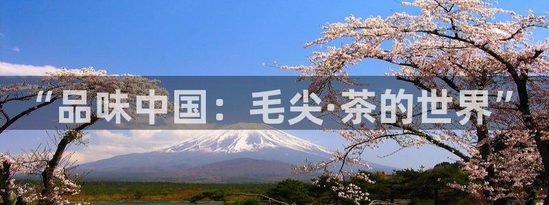 鸿运专业购彩平台