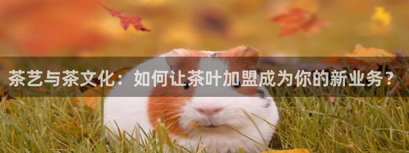 鸿运网938777平台