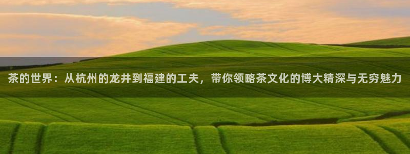 李鸿运开直播平台