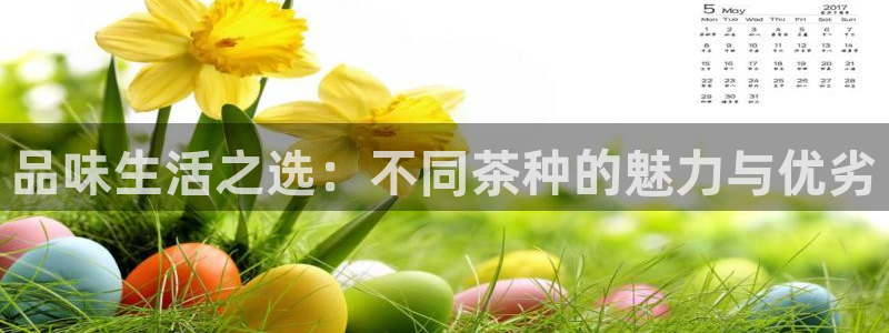 鸿运国际黑平台