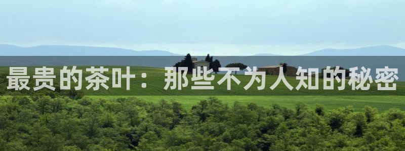 鸿运国际平台国