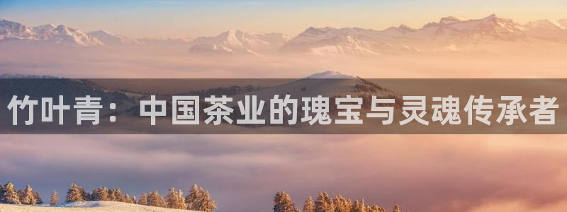 鸿运十三张充值平台