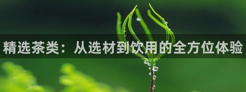 鸿运到游戏平台