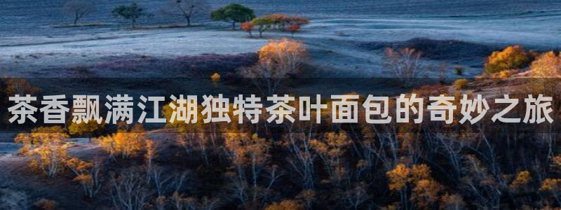 鸿运投资平台客服电话