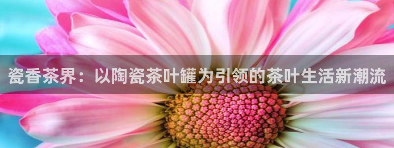 鸿运投资平台是什么平台