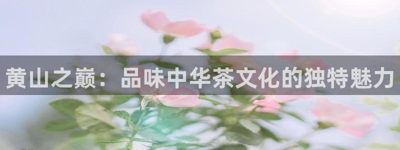 鸿运策略股票平台