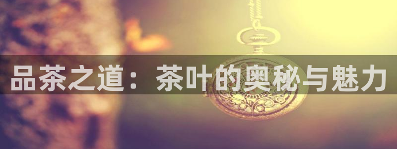 香港鸿运微投资平台