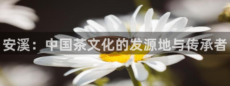 鸿运集团直播卖货平台