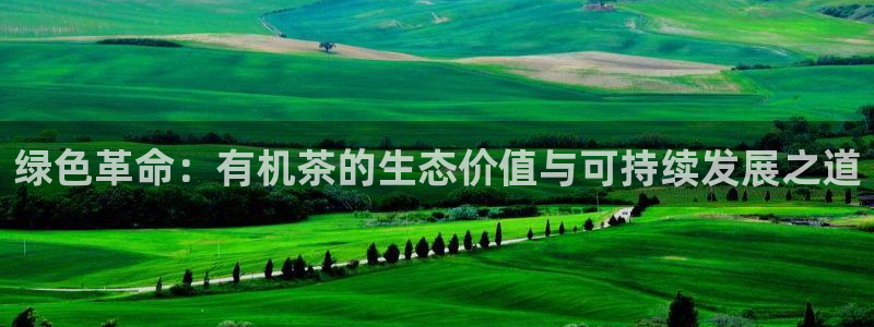 鸿运外贸直播平台