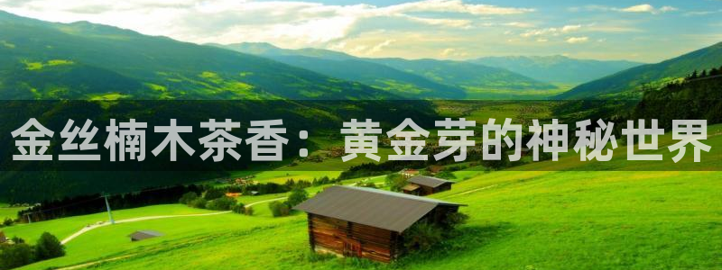 鸿运平台是干嘛的