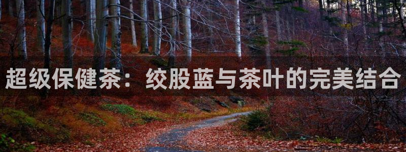 琥珀鸿运诈骗平台