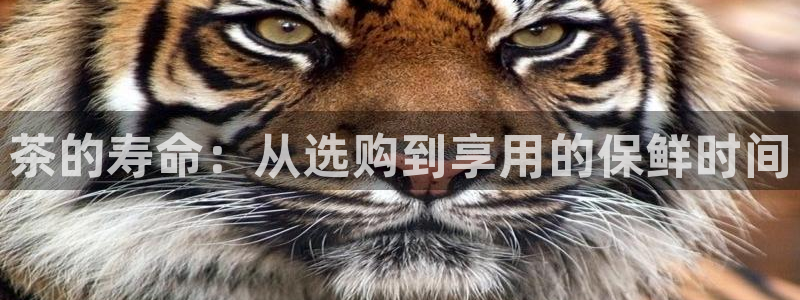 鸿运瓦罐团购平台