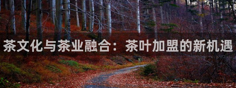 鸿运国际是什么游戏平台