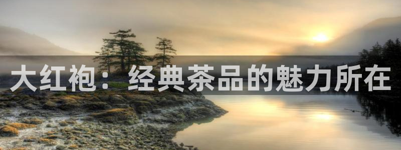 鸿运福星缴费平台