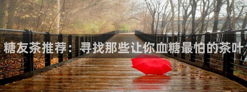 鸿运平台是骗子平台吗