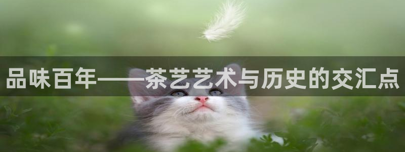 鸿运宝理财平台