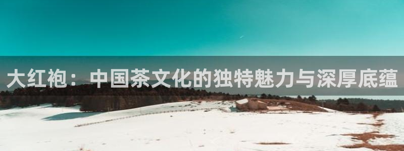 鸿运到平台被骗