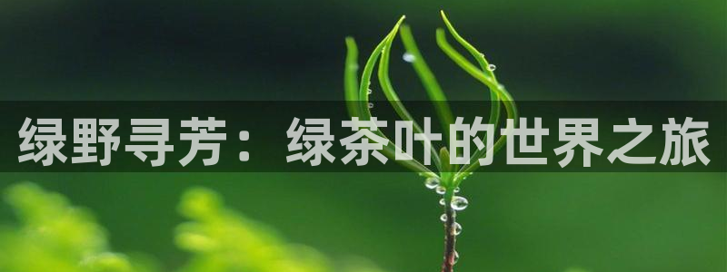 鸿运彩票是正规平台