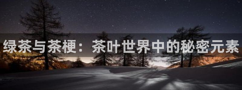 新鸿运股票平台