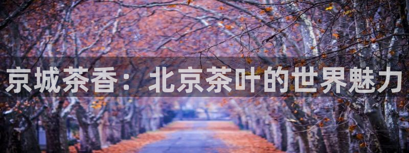 鸿运赌城线上平台