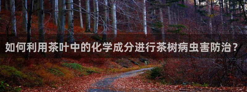 鸿运抽奖是什么平台