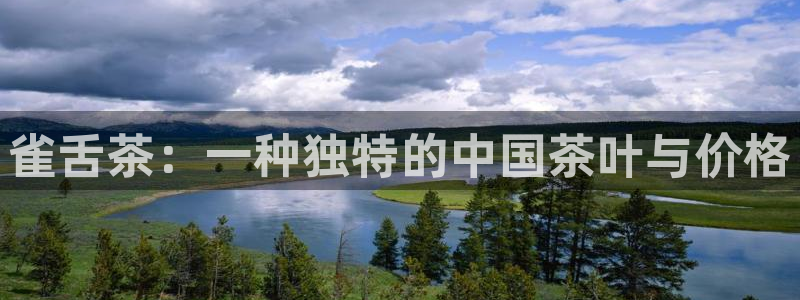 鸿运彩票平台的网址