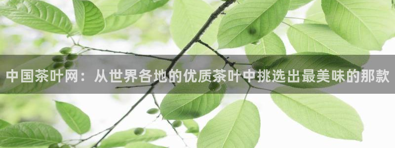 彩票鸿运网登录平台