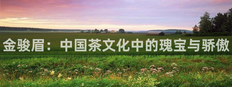 鸿运平台骗局曝光