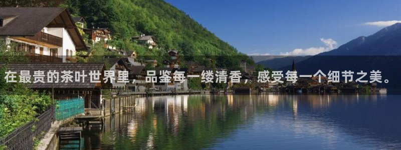 鸿运通贷款平台