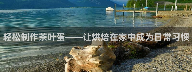 鸿运投资平台是什么平台