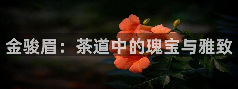 鸿运到游戏直播平台