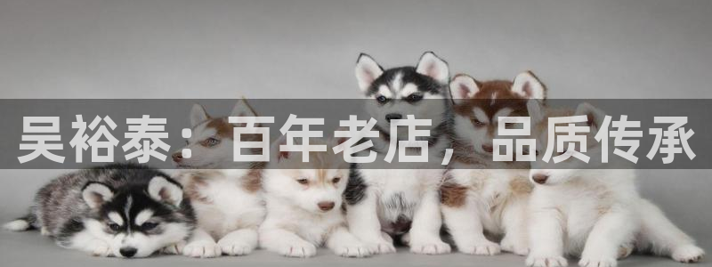 鸿运借款平台可靠吗