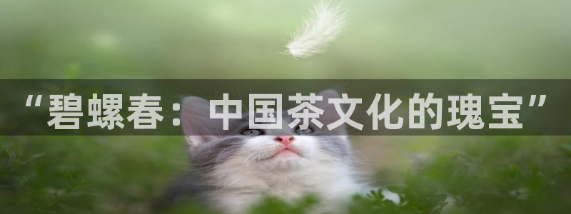 鸿运汽配团购平台