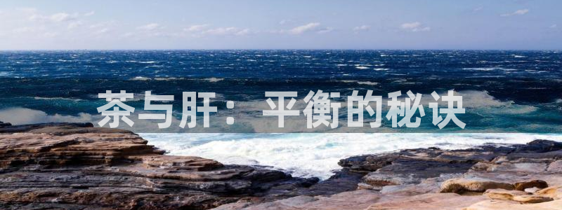 会员鸿运国际平台