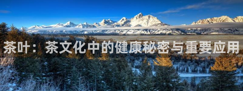 鸿运集团直播卖货平台