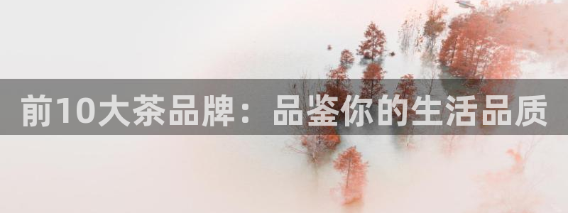 鸿运平台被骗事件