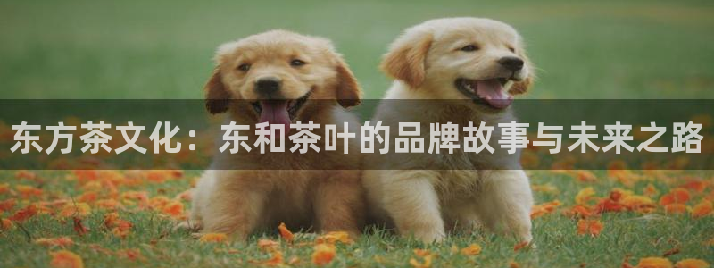 手机版鸿运平台