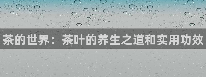 香港鸿运投资平台