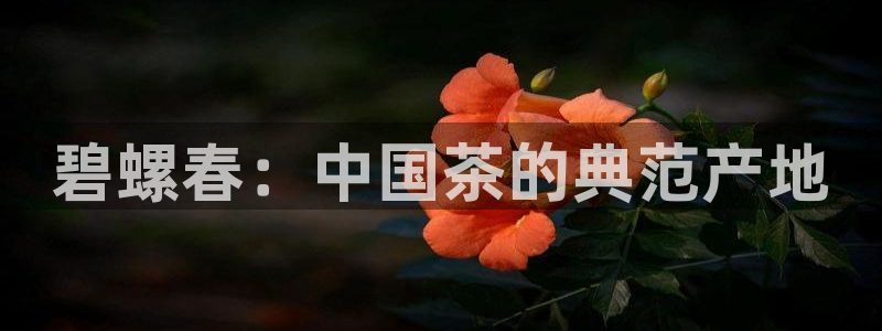 鸿运彩票注册平台