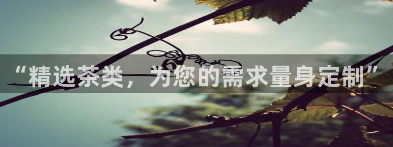 东方鸿运购物平台