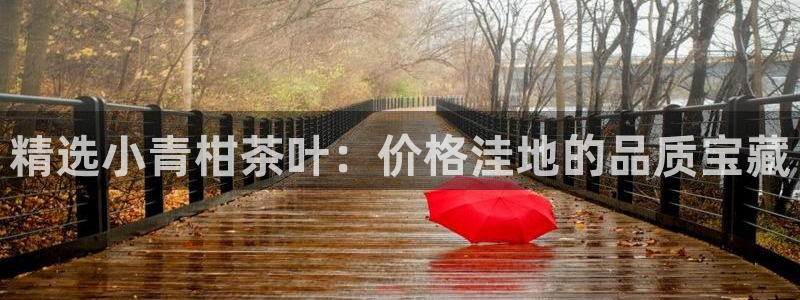 鸿运牛骨服务平台